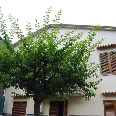 Il Susino Apartment Tirrenia Ngoại thất bức ảnh
