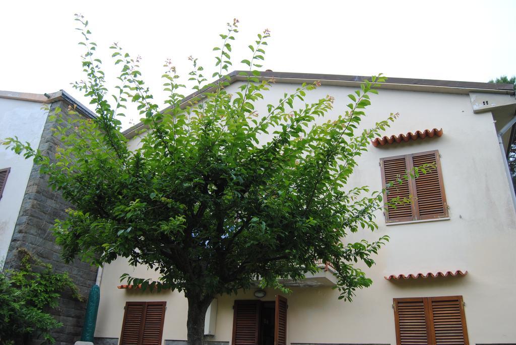 Il Susino Apartment Tirrenia Ngoại thất bức ảnh